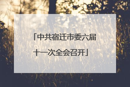 中共宿迁市委六届十一次全会召开
