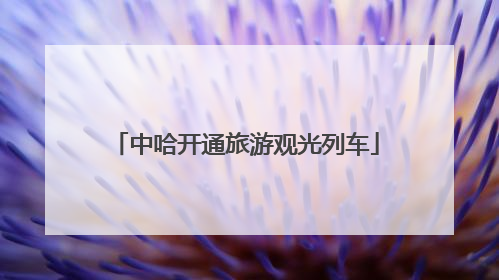 中哈开通旅游观光列车