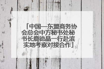 中国—东盟商务协会总会中方秘书处秘书长鹿德晶一行赴滨实地考察对接合作