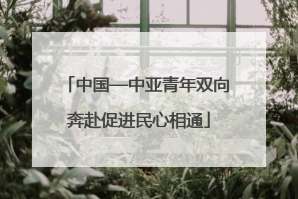 中国—中亚青年双向奔赴促进民心相通