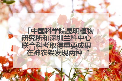 中国科学院昆明植物研究所和深圳兰科中心联合科考取得重要成果 在神农架发现两种“国保”级兰花