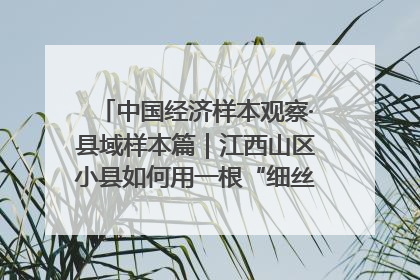 中国经济样本观察·县域样本篇｜江西山区小县如何用一根“细丝”拉出百亿级产业？