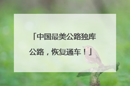 中国最美公路独库公路，恢复通车！