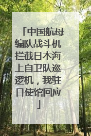 中国航母编队战斗机拦截日本海上自卫队巡逻机，我驻日使馆回应