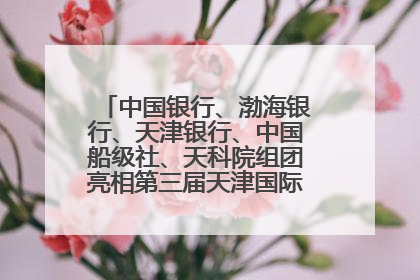 中国银行、渤海银行、天津银行、中国船级社、天科院组团亮相第三届天津国际航运展 输出航运服务“中国方案”