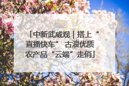 中新武威观｜搭上“直播快车” 古浪优质农产品“云端”走俏