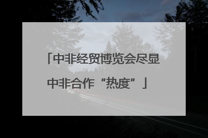 中非经贸博览会尽显中非合作“热度”