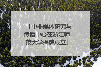 中非媒体研究与传播中心在浙江师范大学揭牌成立