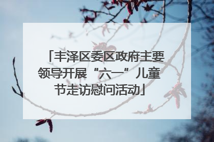 丰泽区委区政府主要领导开展“六一”儿童节走访慰问活动