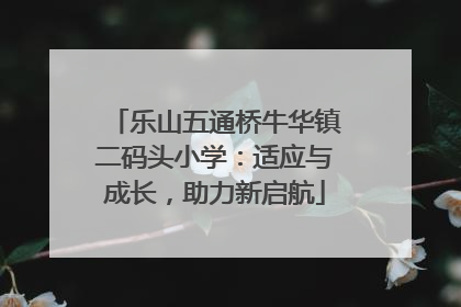 乐山五通桥牛华镇二码头小学：适应与成长，助力新启航
