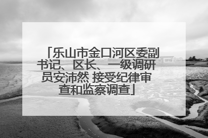 乐山市金口河区委副书记、区长、一级调研员安沛然 接受纪律审查和监察调查