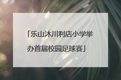 乐山沐川利店小学举办首届校园足球赛