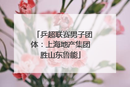 乒超联赛男子团体：上海地产集团胜山东鲁能