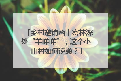 乡村邀请函｜密林深处“羊咩咩”，这个小山村如何逆袭？