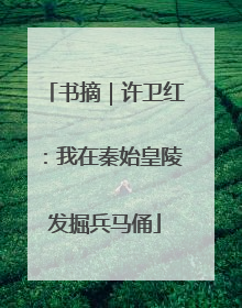 书摘｜许卫红：我在秦始皇陵发掘兵马俑