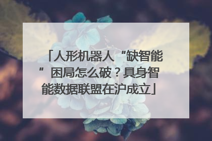 人形机器人“缺智能”困局怎么破？具身智能数据联盟在沪成立