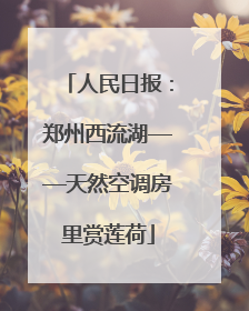 人民日报：郑州西流湖——天然空调房里赏莲荷