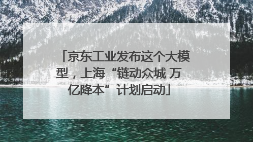 京东工业发布这个大模型，上海“链动众城 万亿降本”计划启动