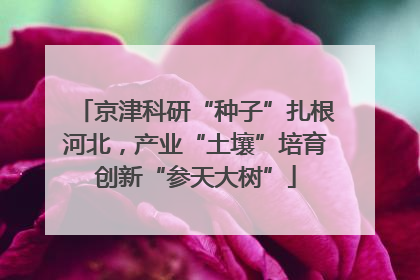 京津科研“种子”扎根河北，产业“土壤”培育创新“参天大树”