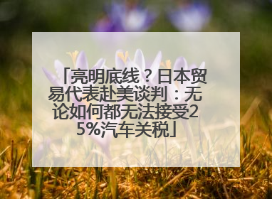 亮明底线？日本贸易代表赴美谈判：无论如何都无法接受25%汽车关税