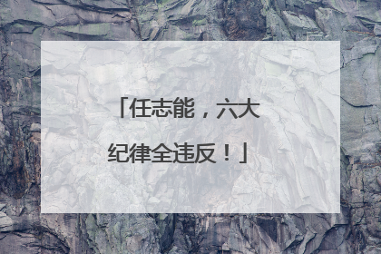 任志能，六大纪律全违反！