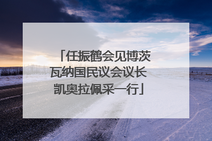 任振鹤会见博茨瓦纳国民议会议长凯奥拉佩采一行