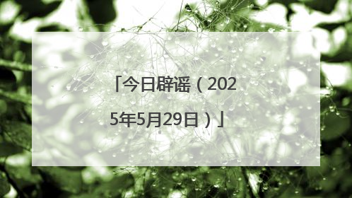 今日辟谣（2025年5月29日）