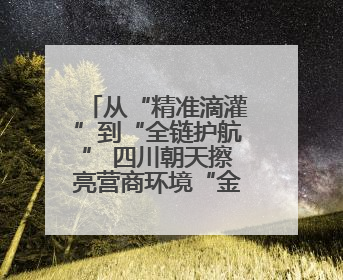 从“精准滴灌”到“全链护航” 四川朝天擦亮营商环境“金字招牌”