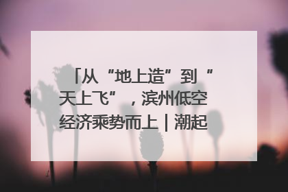 从“地上造”到“天上飞”，滨州低空经济乘势而上｜潮起渤海・网聚黄蓝