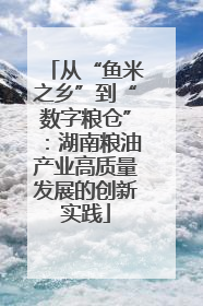 从“鱼米之乡”到“数字粮仓”：湖南粮油产业高质量发展的创新实践