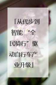 从代步到智能 “全民骑行”驱动自行车产业升级