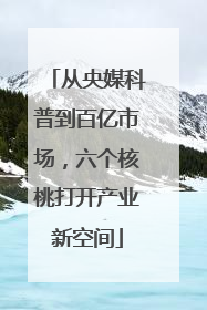 从央媒科普到百亿市场，六个核桃打开产业新空间