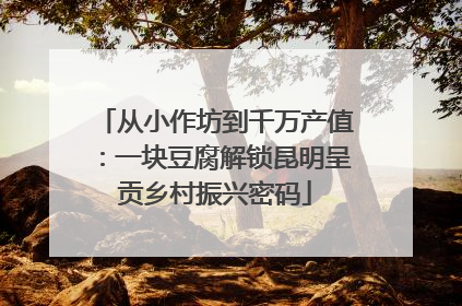 从小作坊到千万产值：一块豆腐解锁昆明呈贡乡村振兴密码