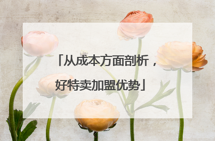 从成本方面剖析，好特卖加盟优势