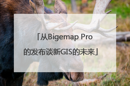 从Bigemap Pro的发布谈新GIS的未来