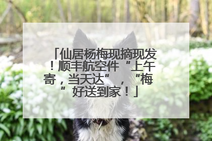 仙居杨梅现摘现发！顺丰航空件“上午寄，当天达”，“梅”好送到家！