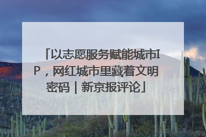 以志愿服务赋能城市IP，网红城市里藏着文明密码｜新京报评论
