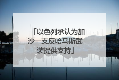 以色列承认为加沙一支反哈马斯武装提供支持
