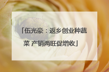 伍光豪：返乡创业种蔬菜 产销两旺促增收