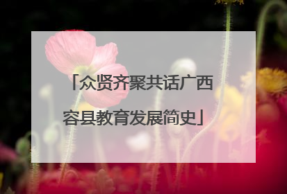 众贤齐聚共话广西容县教育发展简史