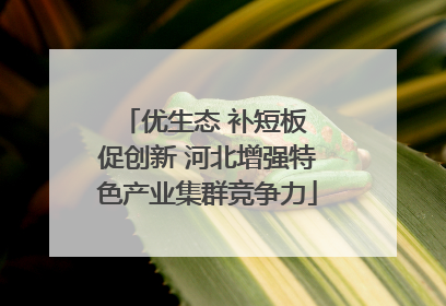 优生态 补短板 促创新 河北增强特色产业集群竞争力
