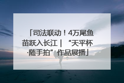 司法联动！4万尾鱼苗跃入长江｜“天平杯·随手拍”作品展播