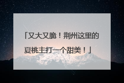 又大又脆！荆州这里的夏桃主打一个甜美！