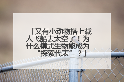 又有小动物搭上载人飞船去太空了！为什么模式生物能成为“探索代表”？
