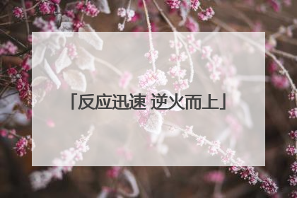 反应迅速 逆火而上