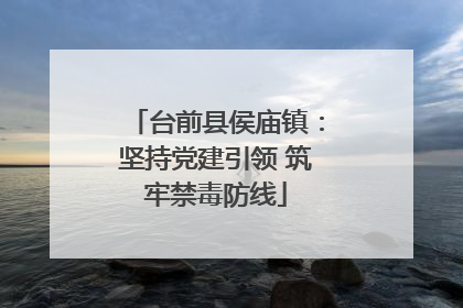 台前县侯庙镇：坚持党建引领 筑牢禁毒防线