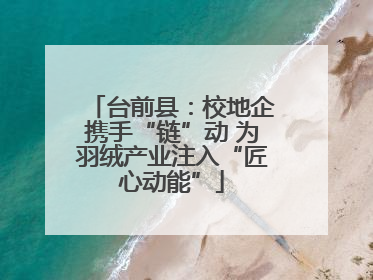 台前县：校地企携手“链”动 为羽绒产业注入“匠心动能”