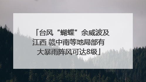 台风“蝴蝶”余威波及江西 赣中南等地局部有大暴雨阵风可达8级