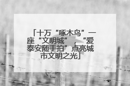 十万“啄木鸟”一座“文明城”，“爱泰安随手拍”点亮城市文明之光