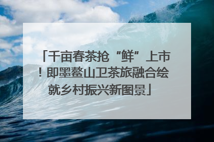 千亩春茶抢“鲜”上市！即墨鳌山卫茶旅融合绘就乡村振兴新图景